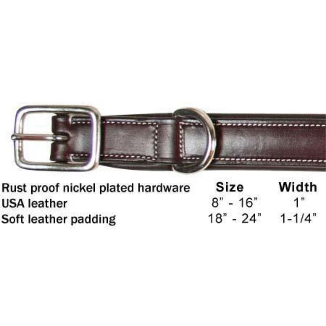 Padded Fancy Stitch Dog Collar USA Leather