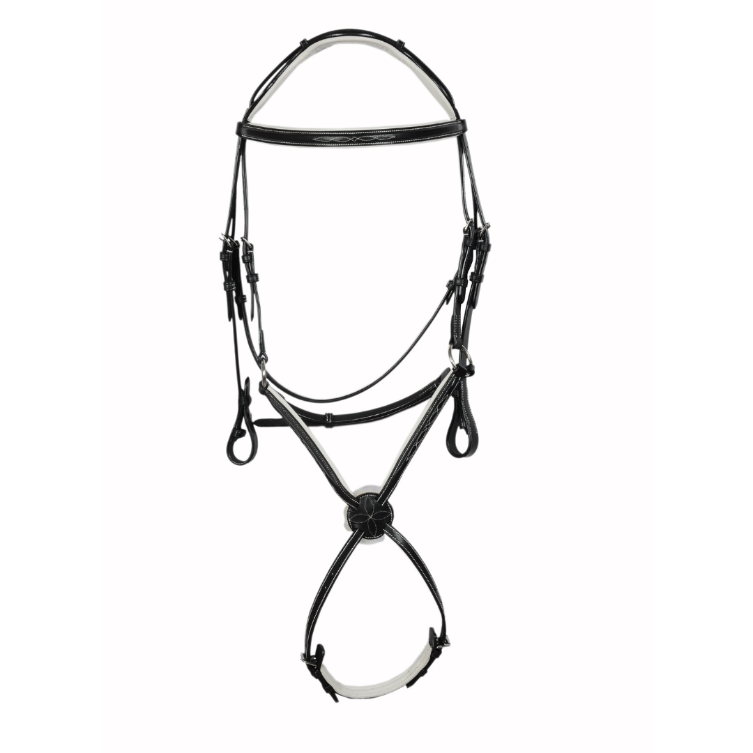 Padded Fancy Stitch Jump Bridle