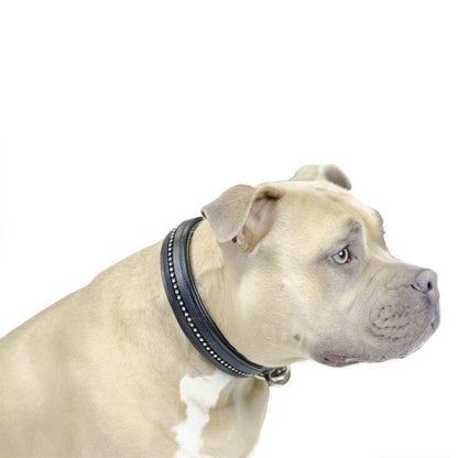 Crystal Padded Dog Collar USA Leather