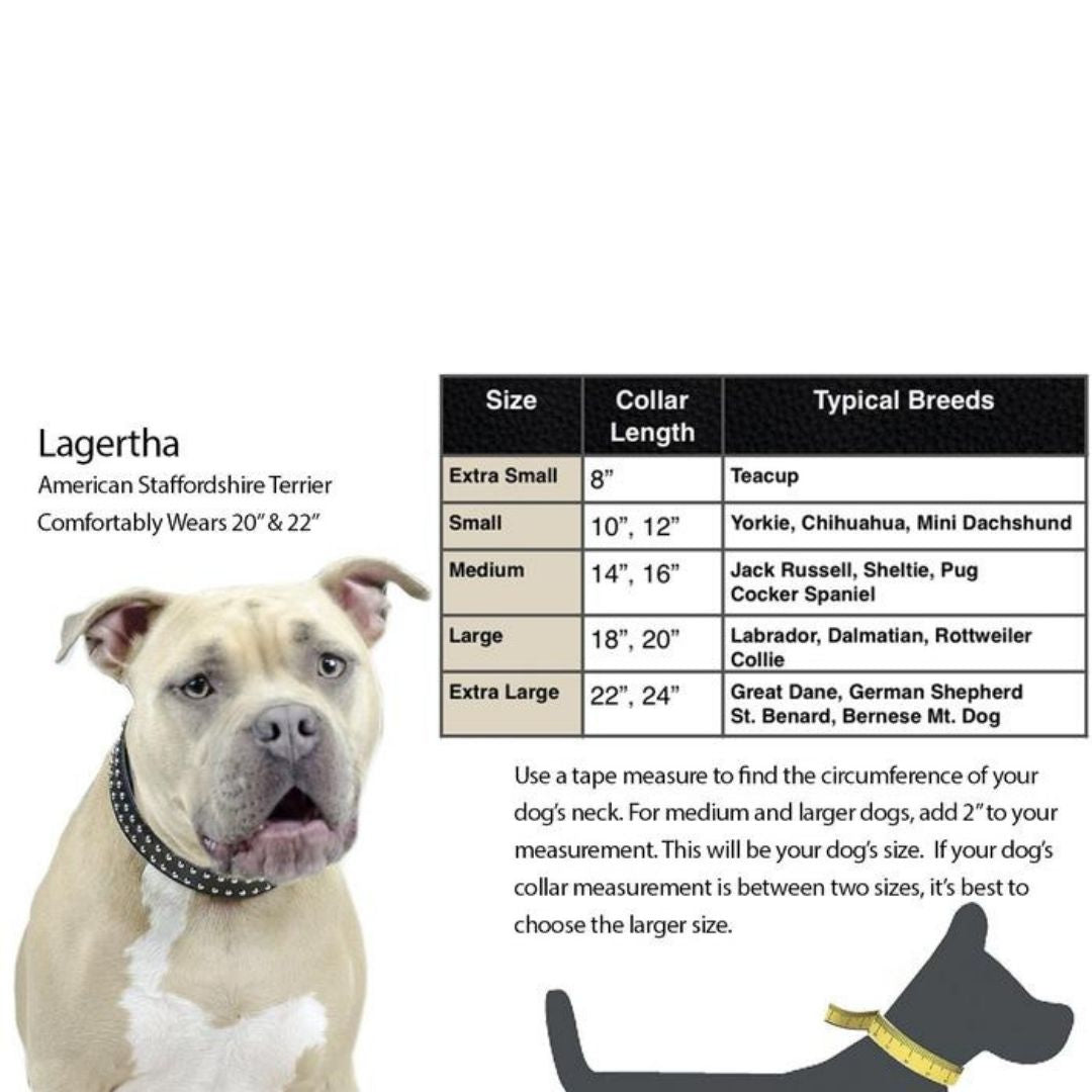 Crystal Padded Dog Collar USA Leather