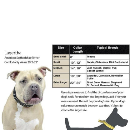 Crystal Padded Dog Collar USA Leather