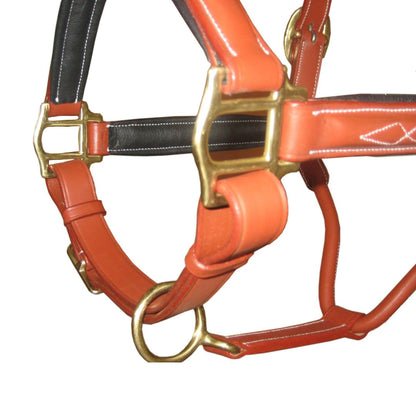 SIE  (Lot of 12) Fancy Stitched Adjustable Leather Padded Halters, Custom made