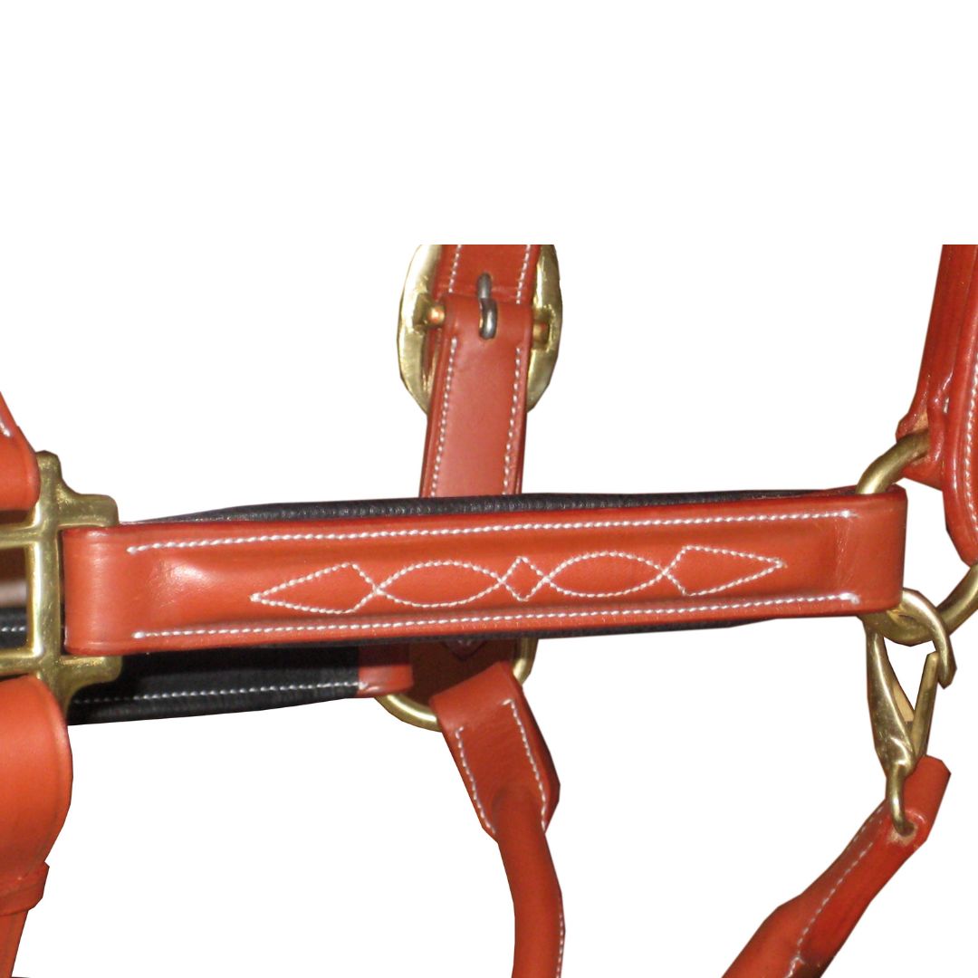 SIE  (Lot of 12) Fancy Stitched Adjustable Leather Padded Halters, Custom made
