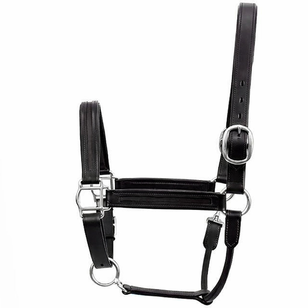 SIE Genuine Leather Empty Channel Horse Halter – Padded Adjustable Headcollar | Brass Hardware