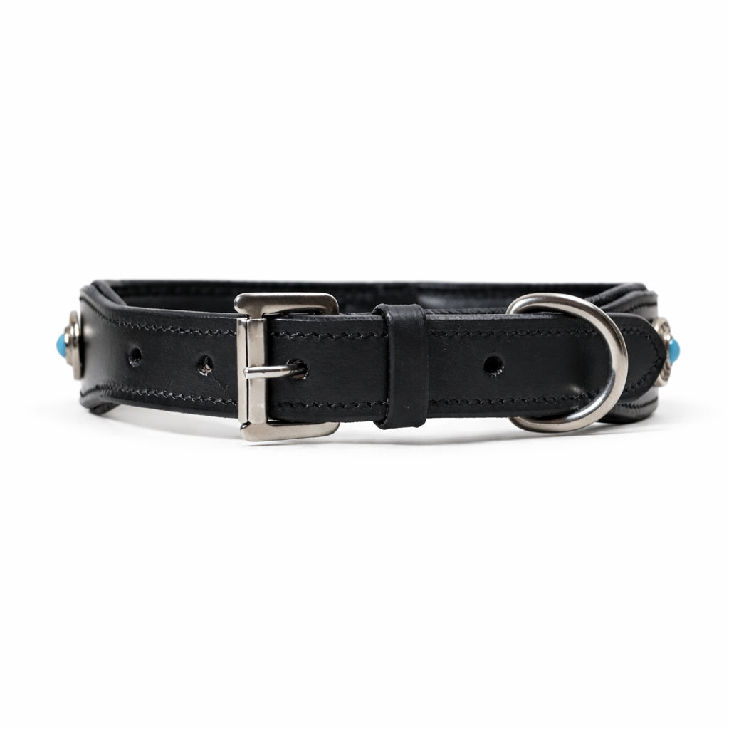 SIE Genuine Leather Turquoise Concho Leather Dog Collar – Decorative Western Style Collar