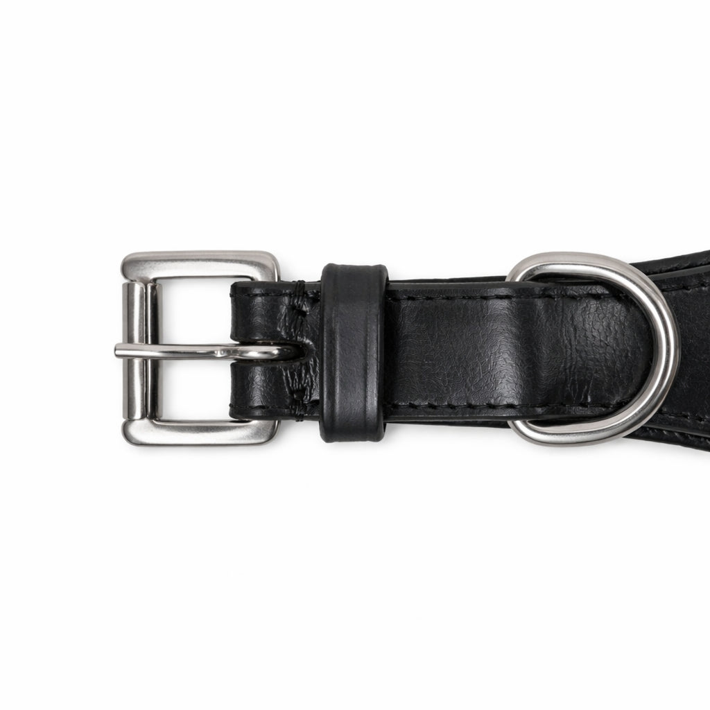 SIE Genuine Leather Turquoise Concho Leather Dog Collar – Decorative Western Style Collar