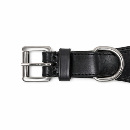 SIE Genuine Leather Turquoise Concho Leather Dog Collar – Decorative Western Style Collar