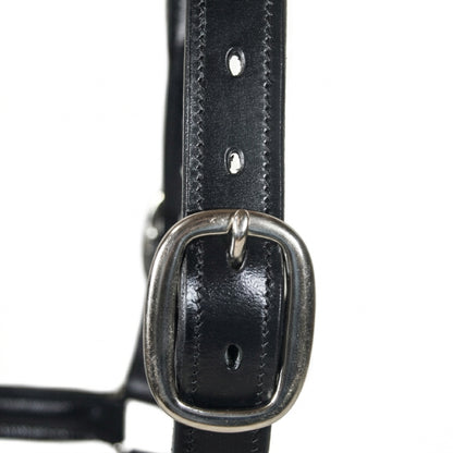 SIE Genuine Leather Empty Channel Horse Halter – Padded Adjustable Headcollar | Brass Hardware