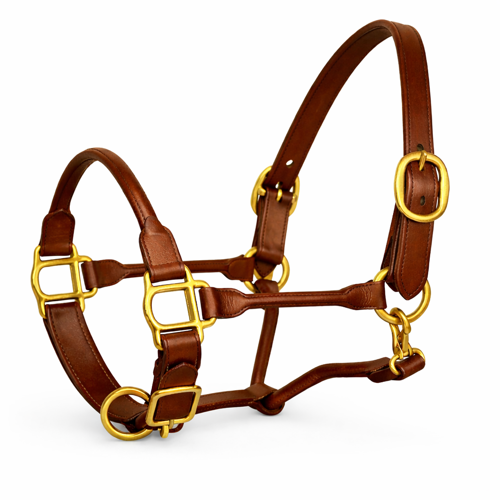 SIE Adjustable Horse Premium Rolled Leather Halter & Brass Hardware