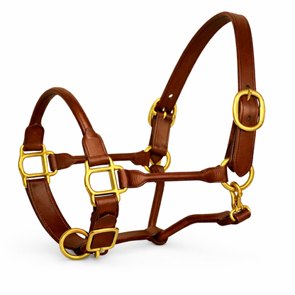 SIE Adjustable Horse Premium Rolled Leather Halter & Brass Hardware