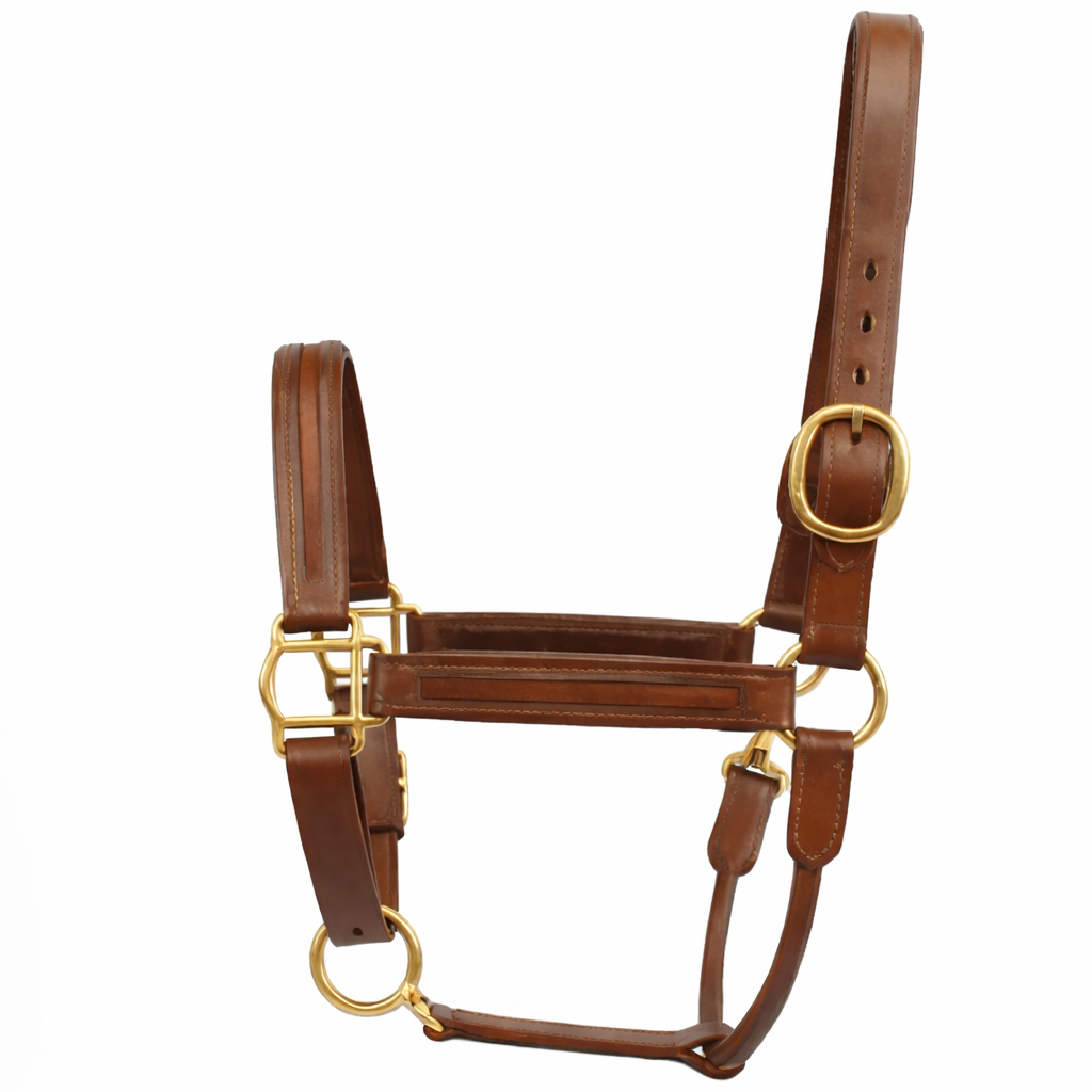 SIE Genuine Leather Empty Channel Horse Halter – Padded Adjustable Headcollar | Brass Hardware