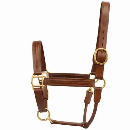 SIE Genuine Leather Empty Channel Horse Halter – Padded Adjustable Headcollar | Brass Hardware