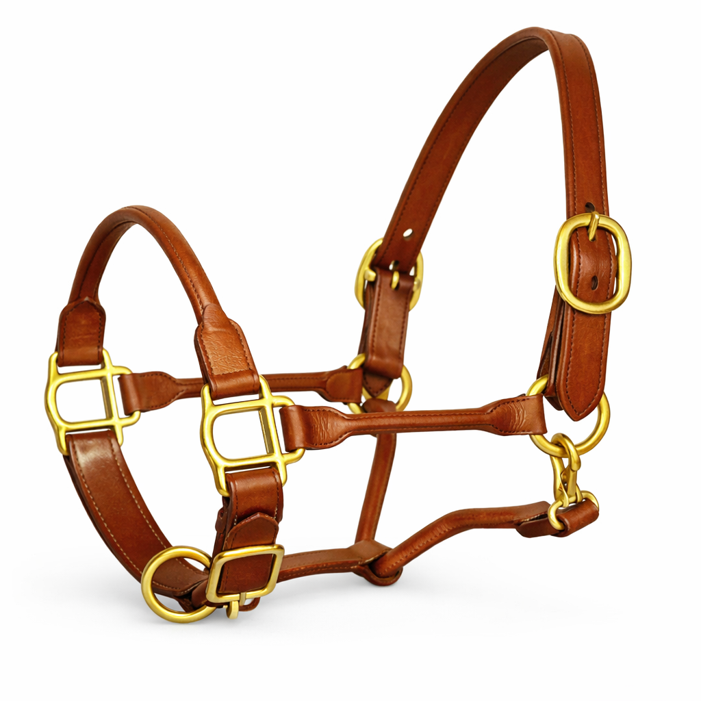 SIE Adjustable Horse Premium Rolled Leather Halter & Brass Hardware