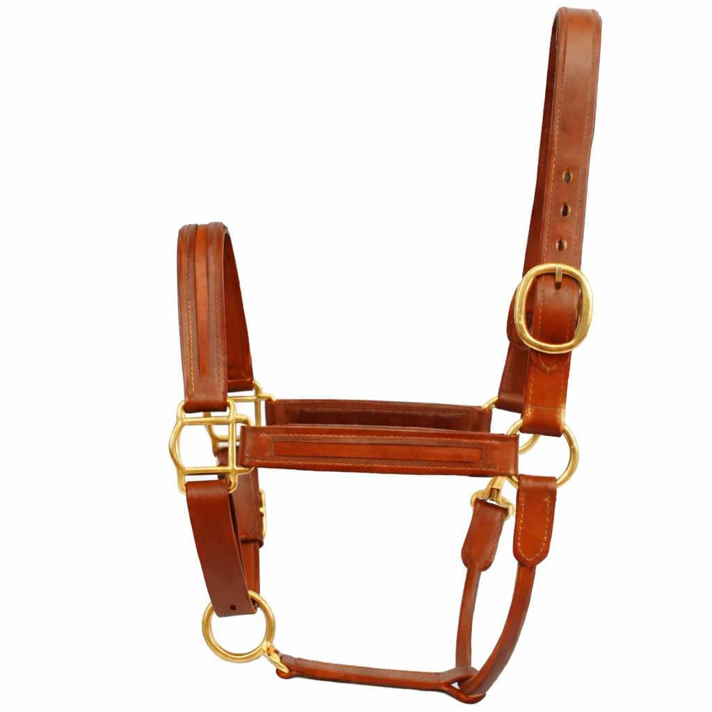 SIE Genuine Leather Empty Channel Horse Halter – Padded Adjustable Headcollar | Brass Hardware