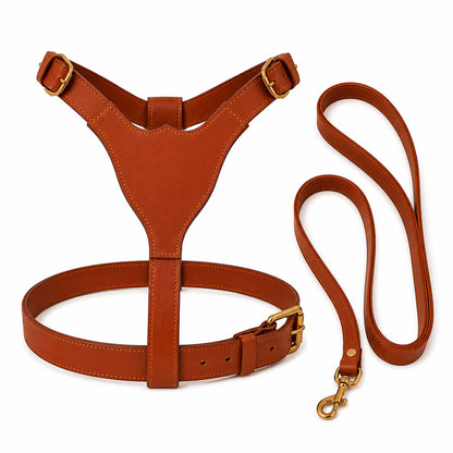 Premium Genuine Leather Dog Harness with Matching Lead – Adjustable Pet Harness & Leash Set