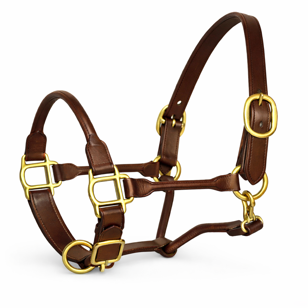SIE Adjustable Horse Premium Rolled Leather Halter & Brass Hardware
