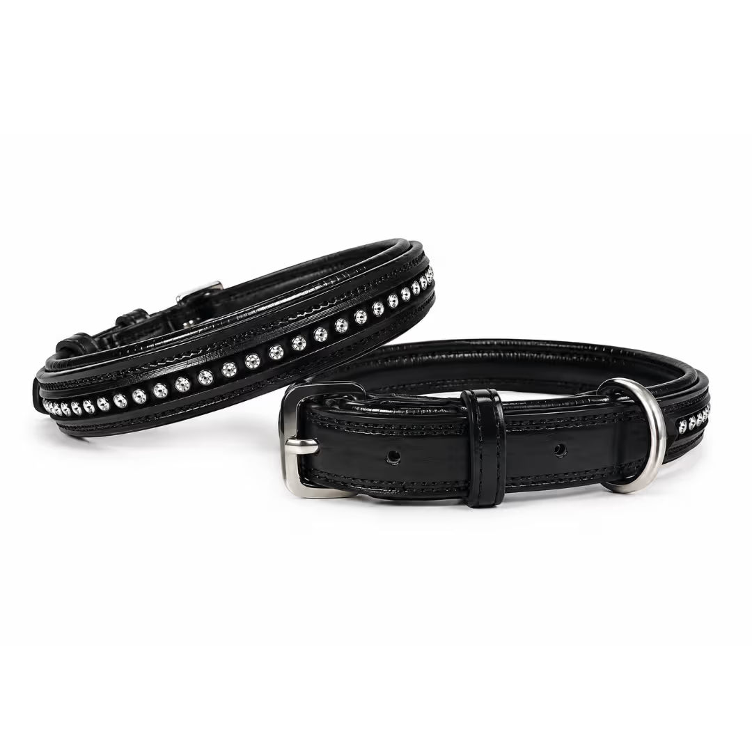 Crystal Padded USA Leather Dog Collar