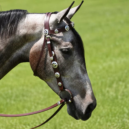 Leather Headstall, Breast Collar & Reins Set – Silver Concho