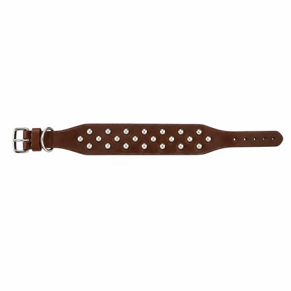 Bulk Lot of 15 Brown Padded Leather Dog Collars – 16"–24"