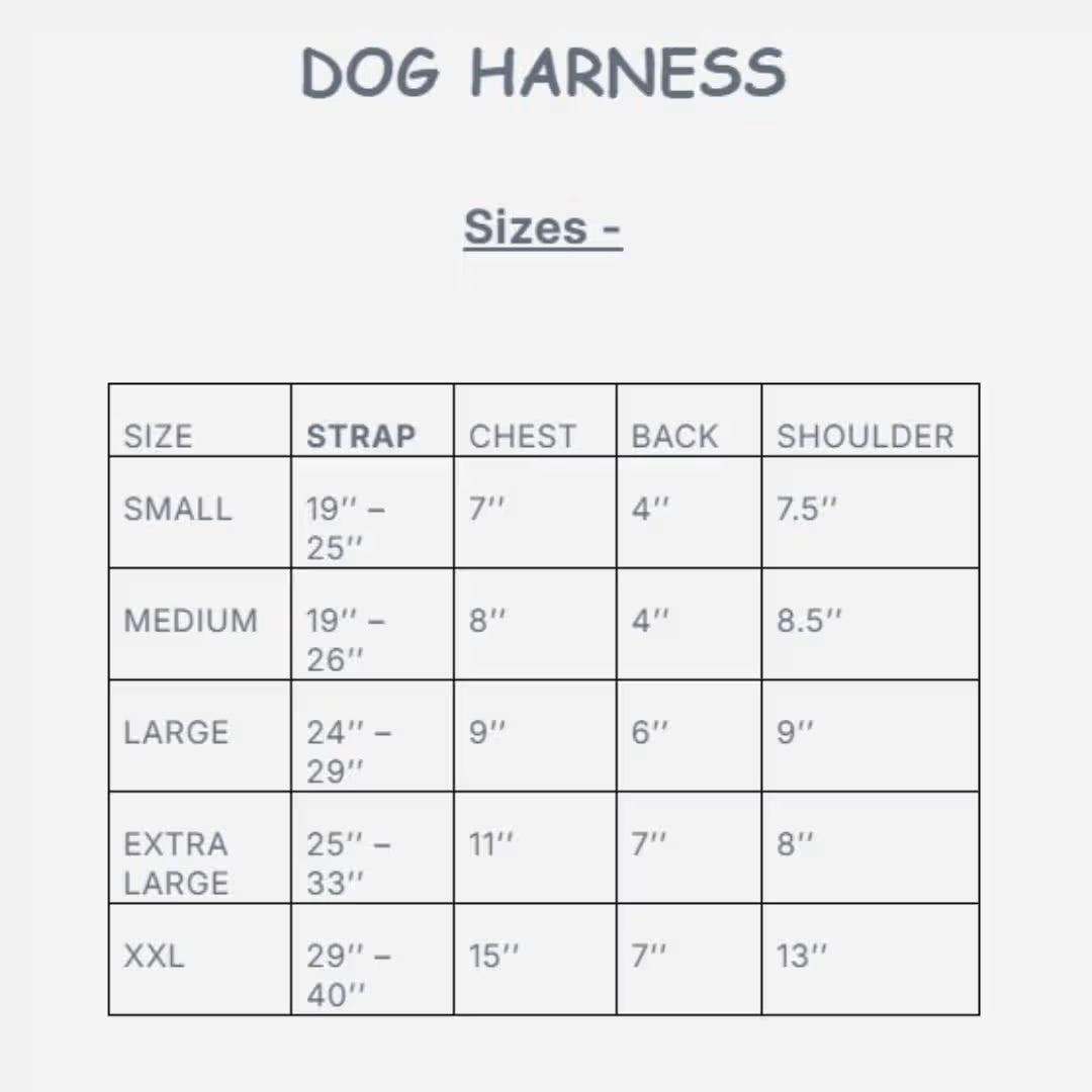 Premium Genuine Leather Dog Harness with Matching Lead – Adjustable Pet Harness & Leash Set
