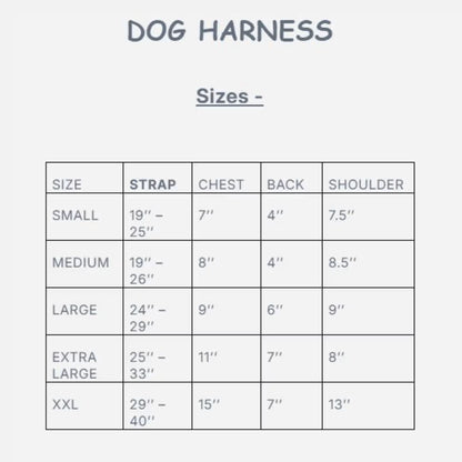 Premium Genuine Leather Dog Harness with Matching Lead – Adjustable Pet Harness & Leash Set