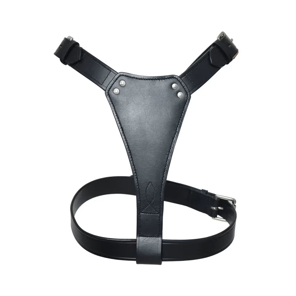 Tugby Premium Genuine Leather Dog Harness with Lead – Padded, Adjustable & Handmade