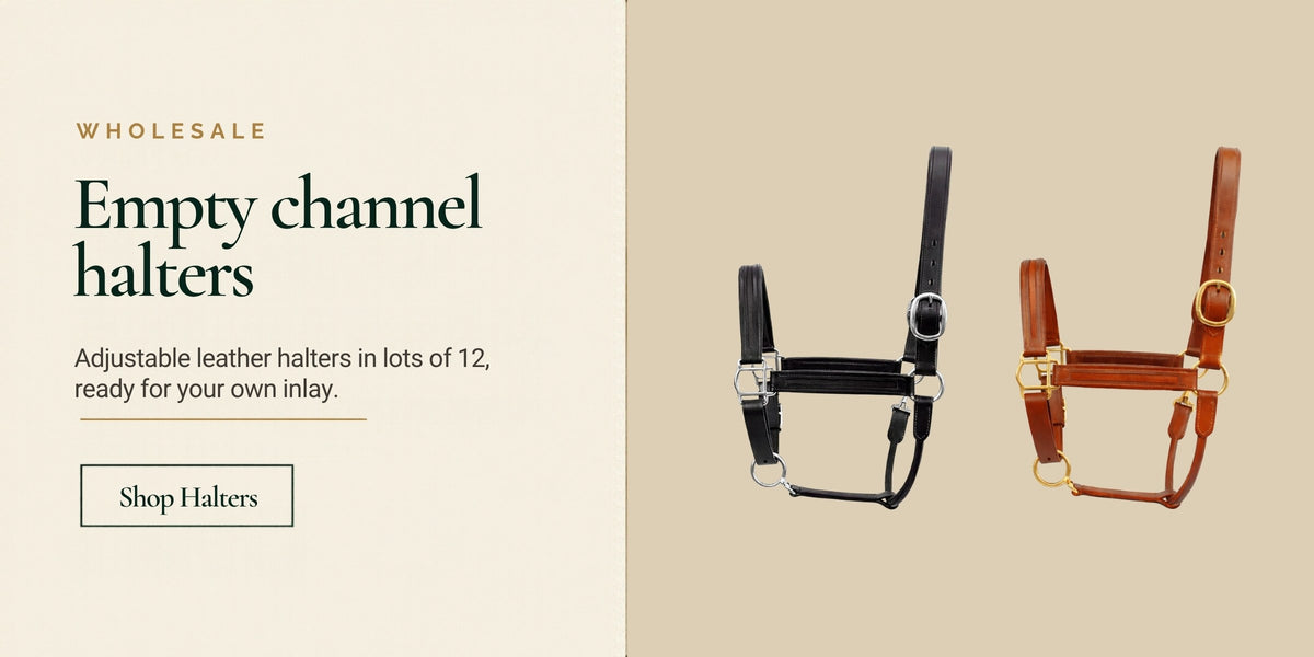 SIE black and tan empty channel leather halters, sold in lots of 12