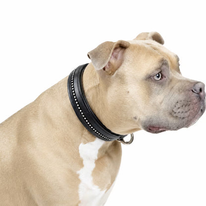 Crystal Padded USA Leather Dog Collar