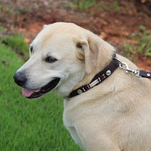 Large Beaded Leather Dog Collar