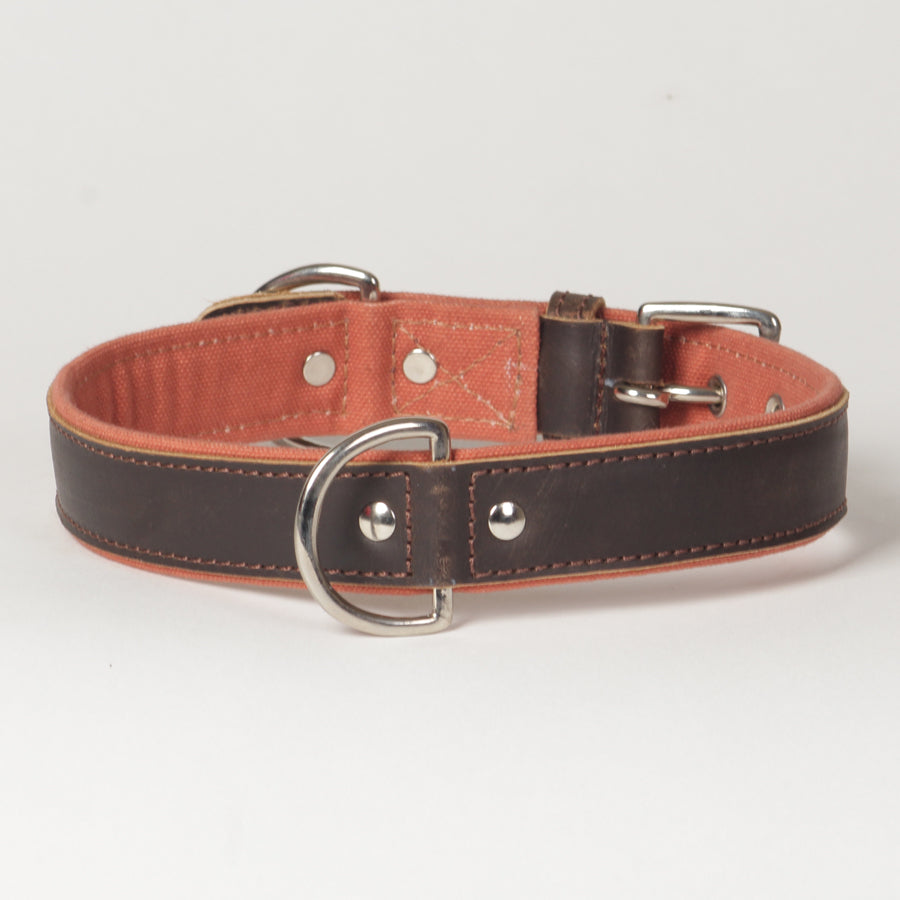 Large Canvas Leather Dog Collar