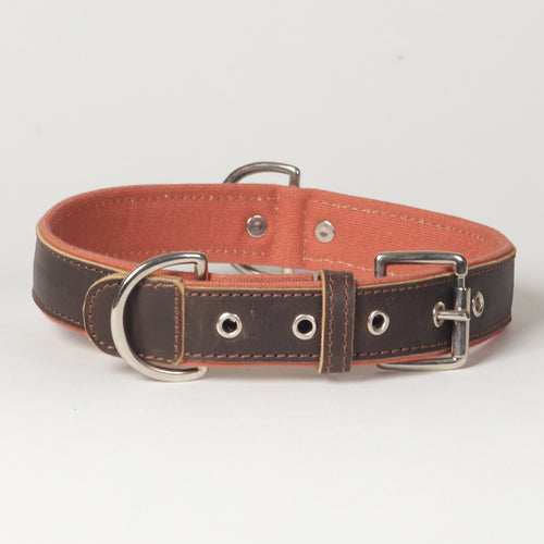 Large Canvas Leather Dog Collar