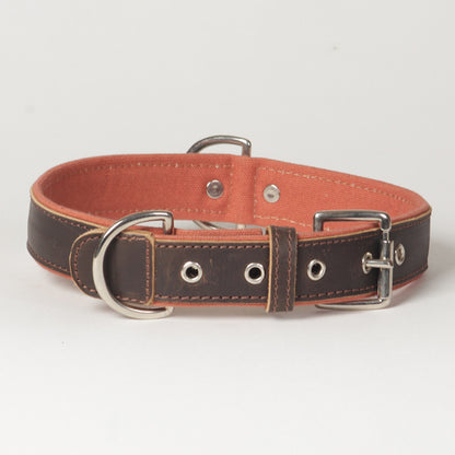 Large Canvas Leather Dog Collar