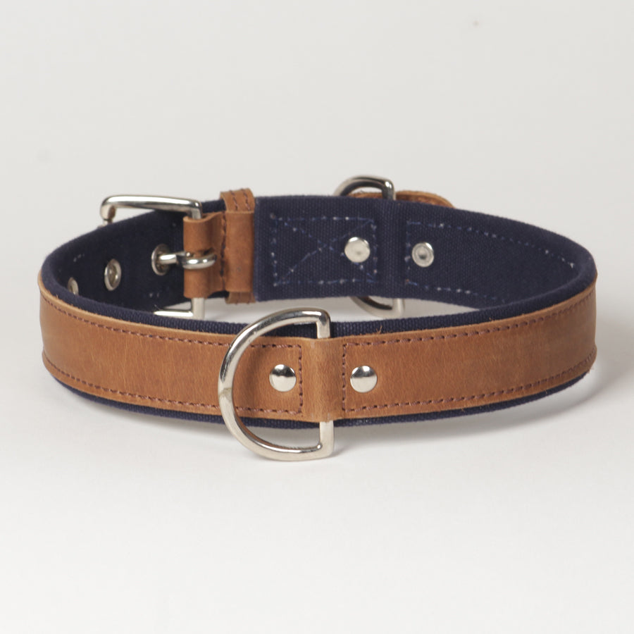 Large Canvas Leather Dog Collar