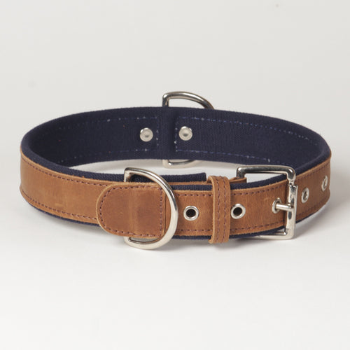 Large Canvas Leather Dog Collar