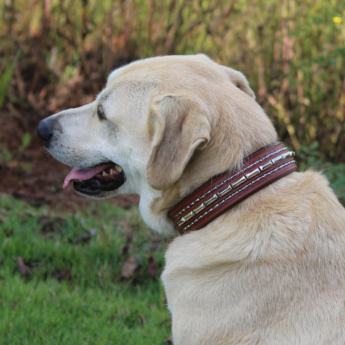 Large Extra-Wide Genuine Leather Dog Collar