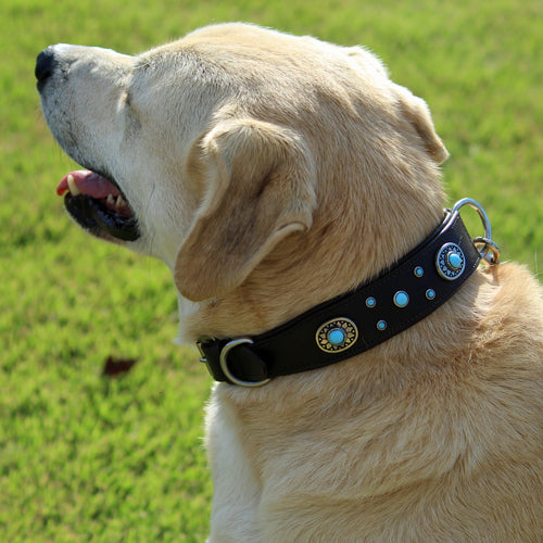 Large Decorated Genuine Leather Dog Collar