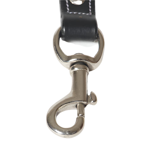 Stitched Leather Padded Designer Dog Leash
