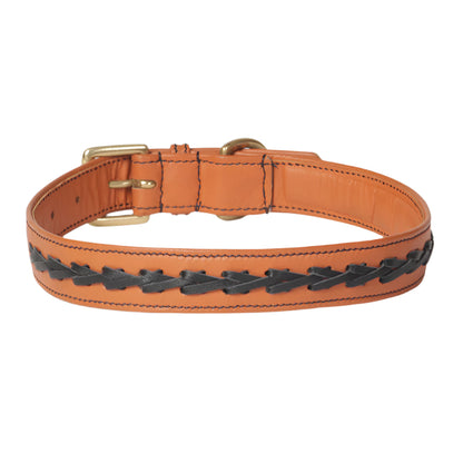 Flair Napa Leather Dog Collar