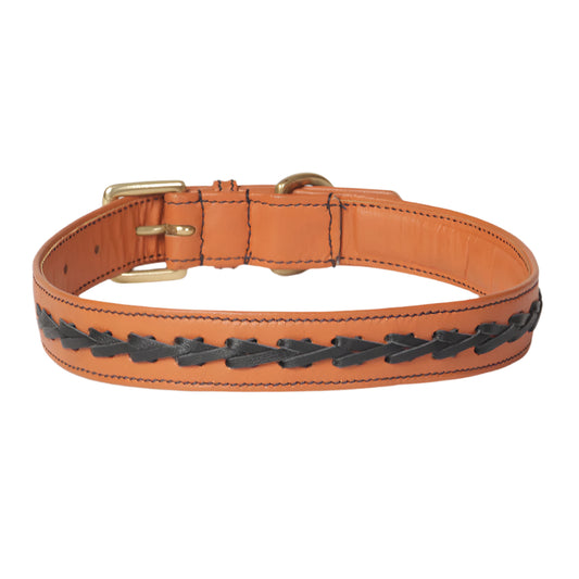 Flair Napa Leather Dog Collar