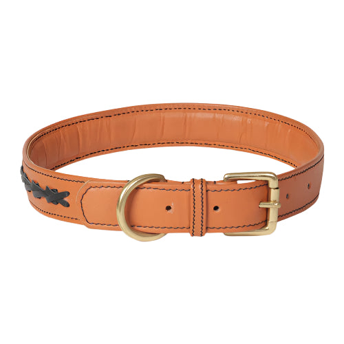 Flair Napa Leather Dog Collar