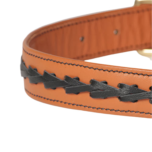 Flair Napa Leather Dog Collar