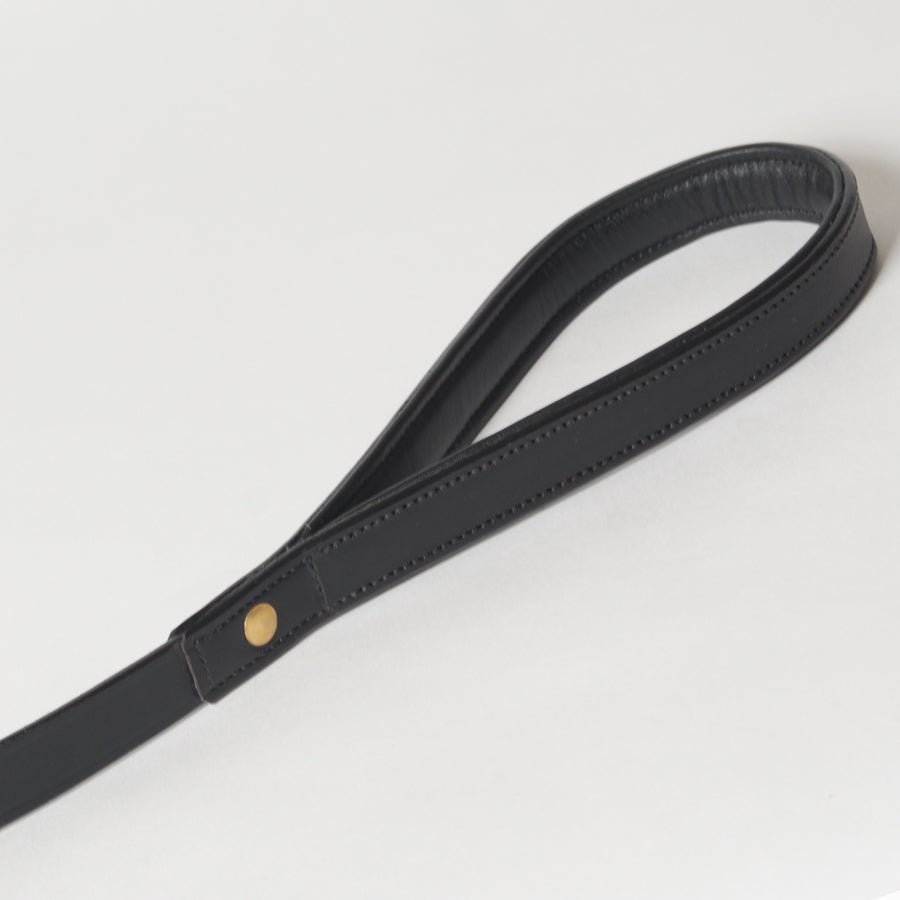 Padded Handle Leather Dog Leash