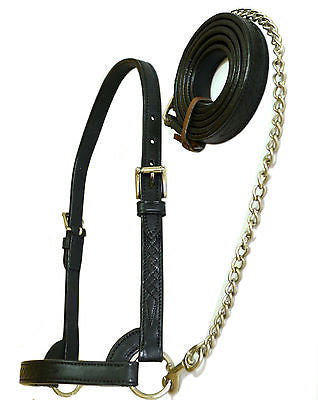 USA Leather Fancy Stitch Cattle Halter with Brass Chain Lead