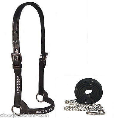 USA Leather Rhinestone Cattle Halter with Brass Chain Lead Calf