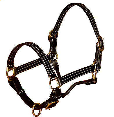 SIE ( Lot of 12 ) Triple Stitch Adjustable Leather Horse Halters