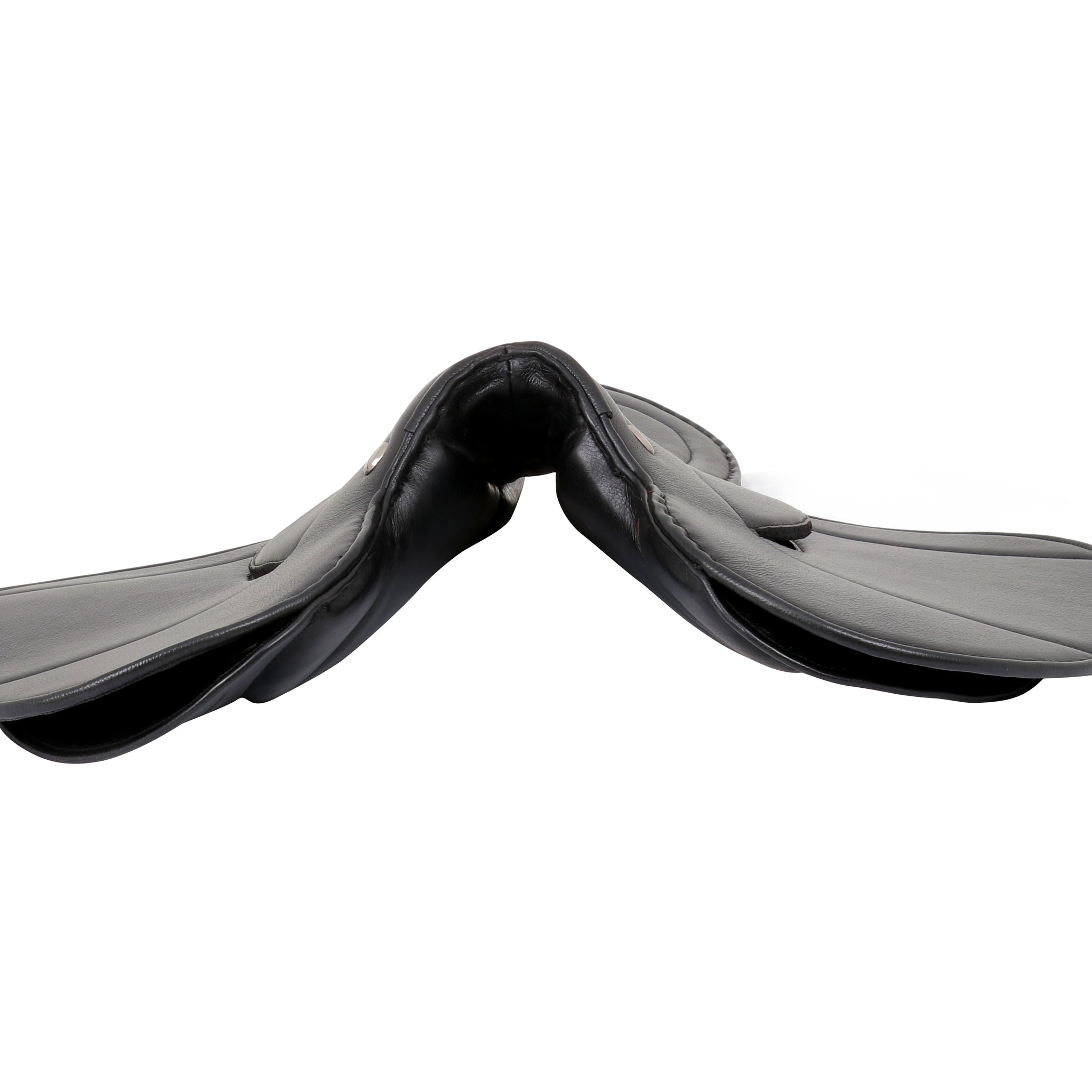 Excercise Saddle