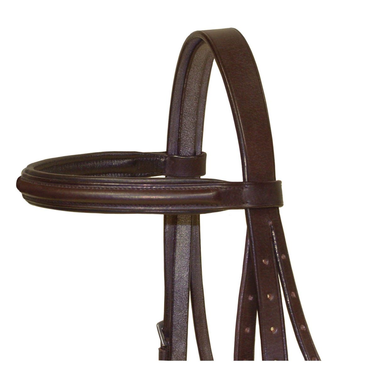 Padded Raised English Bridle