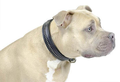 Crystal Padded Dog Collar USA Leather