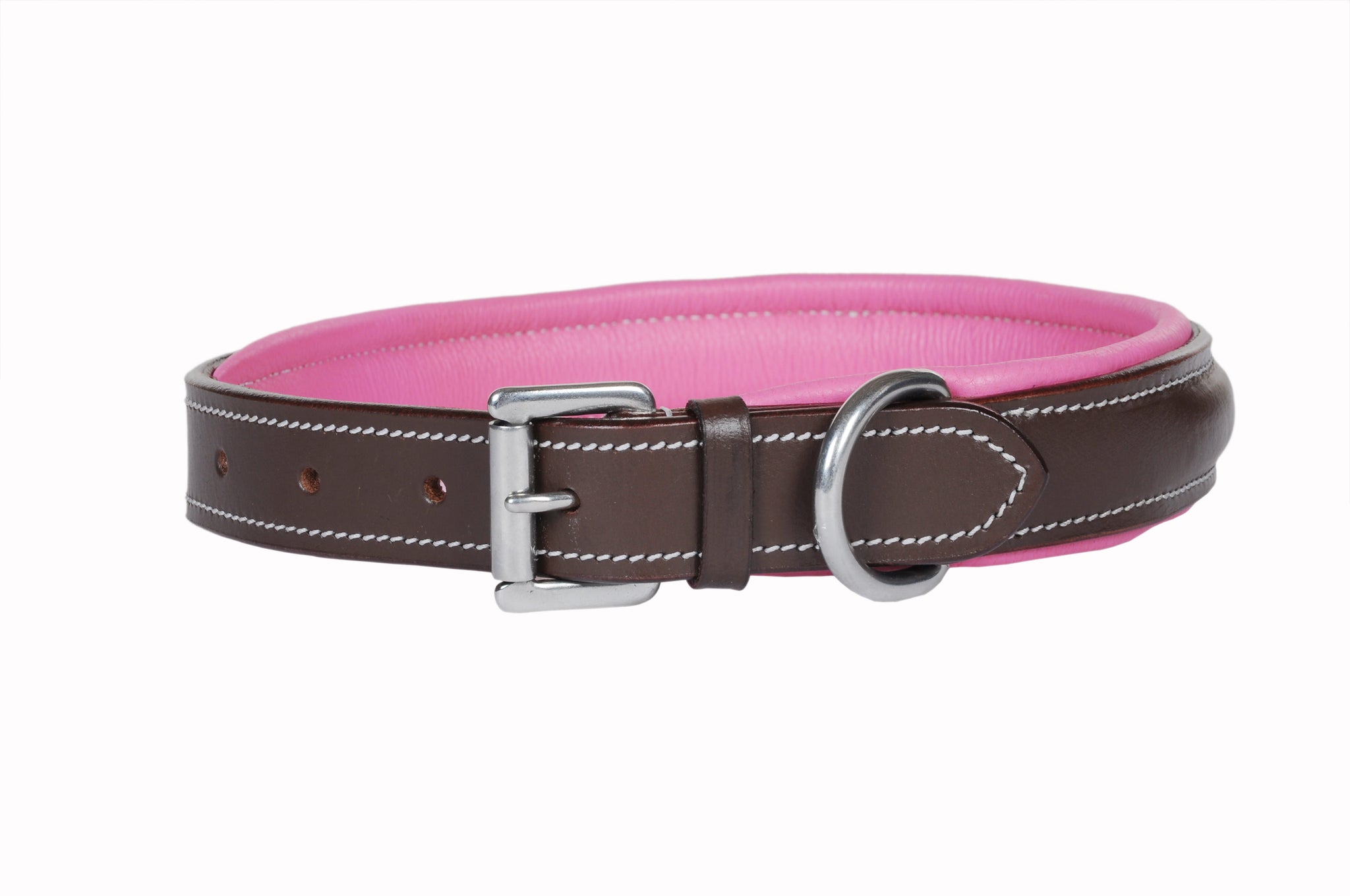 Fancy Stitched Dog Collars with Colored Padding