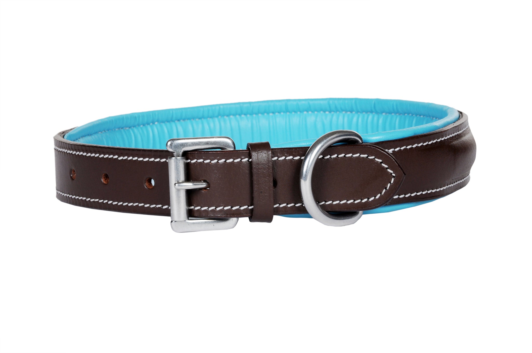 Fancy Stitched Dog Collars with Colored Padding